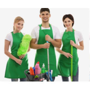 House cleaning Service  job image