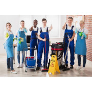 House cleaning  job image